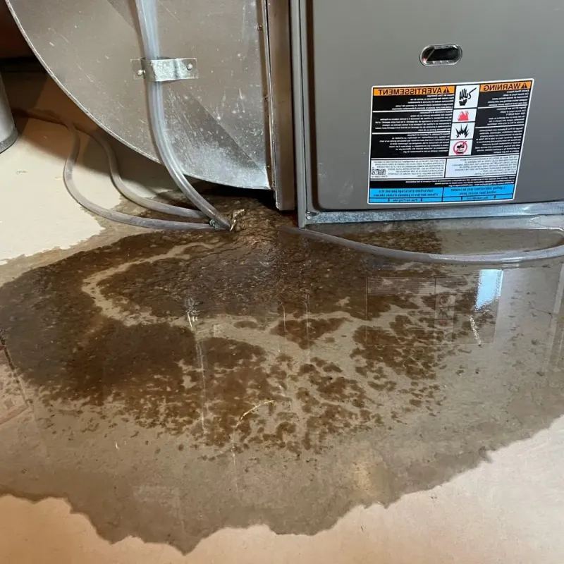 Pipe Burst and Leak Restoration in Flemingsburg, KY